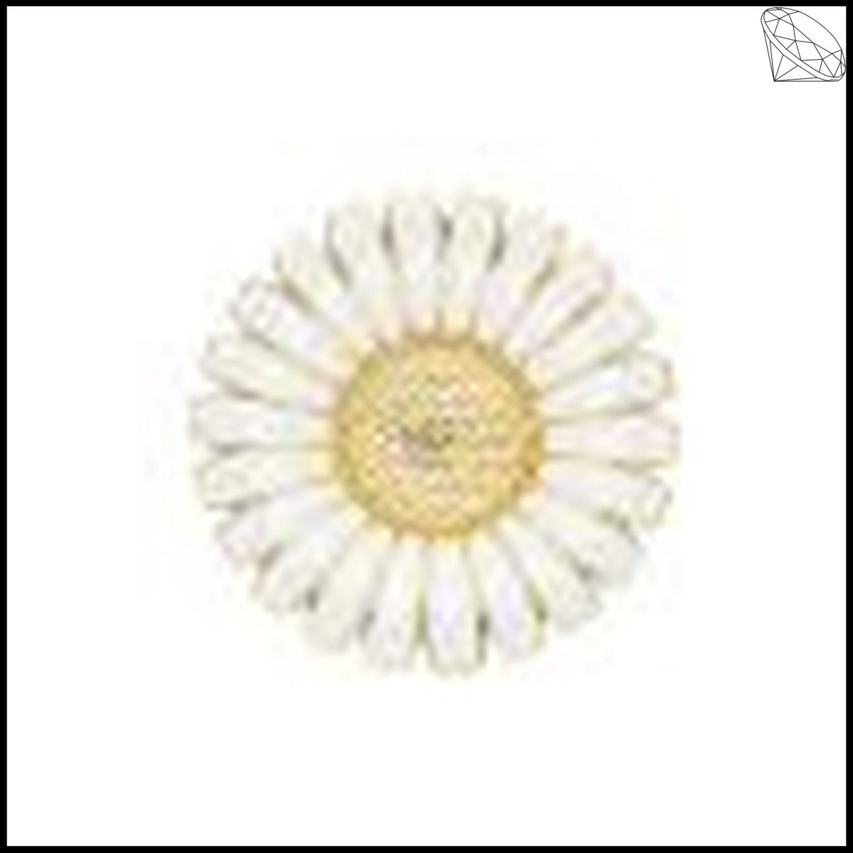 Marguerit broche 43mm 24kt forgyldt slv med hvid emalje