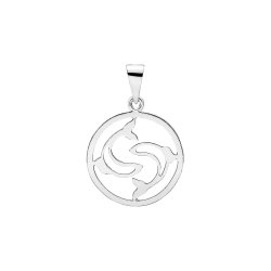 STJERNETEGN FRA STJERNEHIMLEN I POLERET SLV 20MM