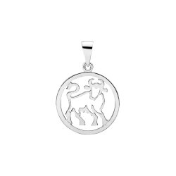 STJERNETEGN FRA STJERNEHIMLEN I POLERET SLV 20MM